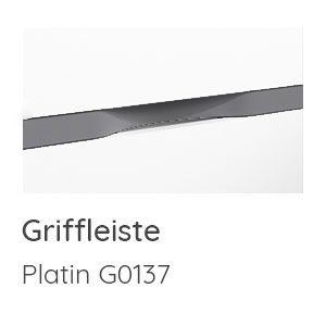 Griffvariante: Griffleiste Platin